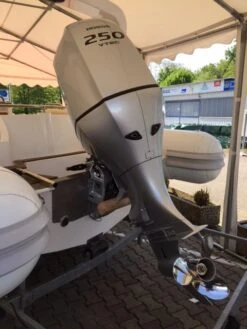 RibStar Heavy Duty 680 SE + Honda BF 250 + Harbeck Trailer BT3500 27 RibStar Heavy Duty 680 SE + Honda BF 250 + Harbeck Trailer BT3500 -Wasser Abenteuer IMG167233