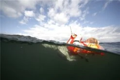 Secumar Rettungsweste Scout 275N 3D 13 Secumar Rettungsweste Scout 275N 3D -Wasser Abenteuer PIC882735cb416616