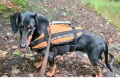 Lindemann Hundeschwimmhilfe -8 Kg